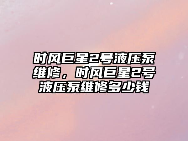 時風(fēng)巨星2號液壓泵維修，時風(fēng)巨星2號液壓泵維修多少錢