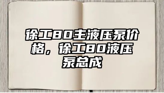 徐工80主液壓泵價格，徐工80液壓泵總成