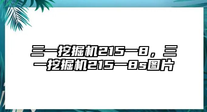 三一挖掘機215一8，三一挖掘機215一8s圖片