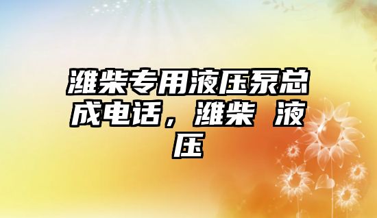 濰柴專用液壓泵總成電話，濰柴 液壓