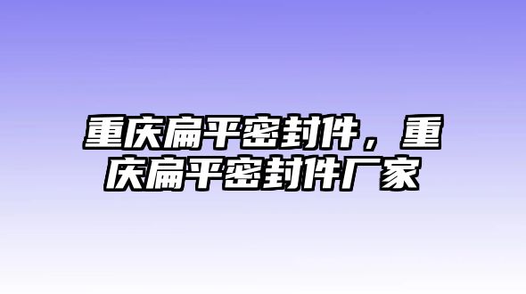 重慶扁平密封件，重慶扁平密封件廠家