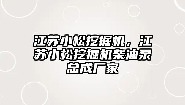 江蘇小松挖掘機，江蘇小松挖掘機柴油泵總成廠家