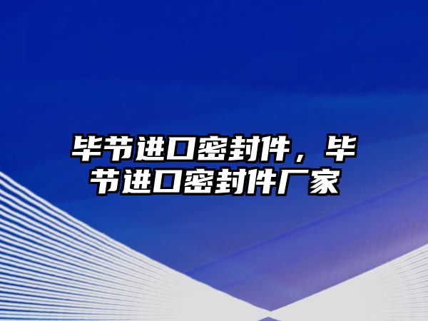 畢節(jié)進口密封件，畢節(jié)進口密封件廠家