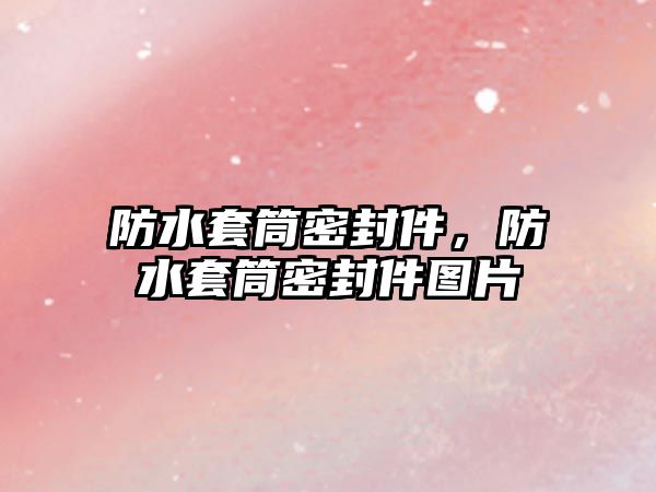 防水套筒密封件，防水套筒密封件圖片