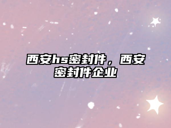 西安hs密封件，西安密封件企業(yè)