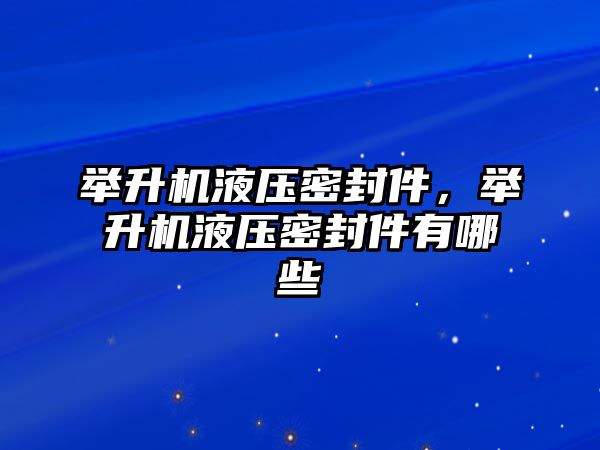 舉升機(jī)液壓密封件，舉升機(jī)液壓密封件有哪些