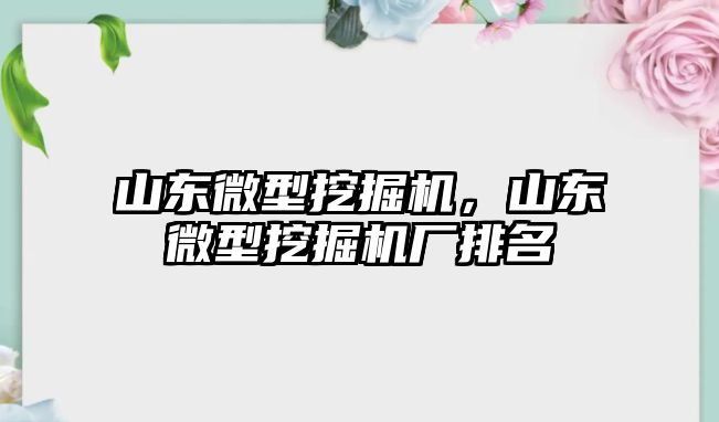 山東微型挖掘機，山東微型挖掘機廠排名