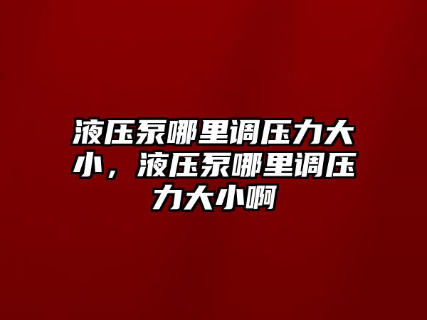 液壓泵哪里調(diào)壓力大小，液壓泵哪里調(diào)壓力大小啊