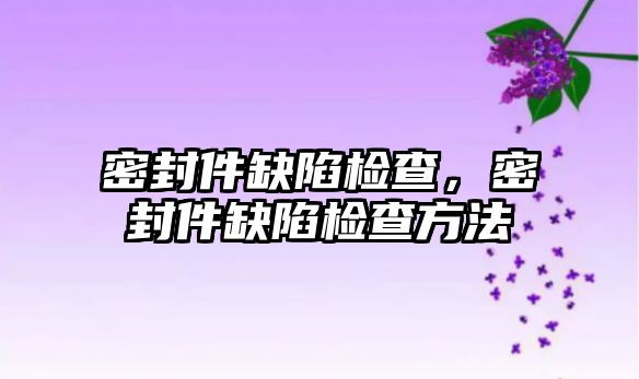 密封件缺陷檢查，密封件缺陷檢查方法