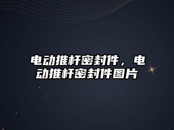 電動推桿密封件，電動推桿密封件圖片