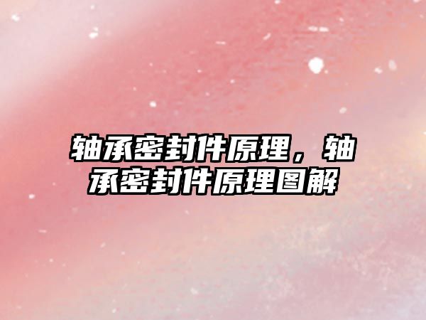 軸承密封件原理，軸承密封件原理圖解