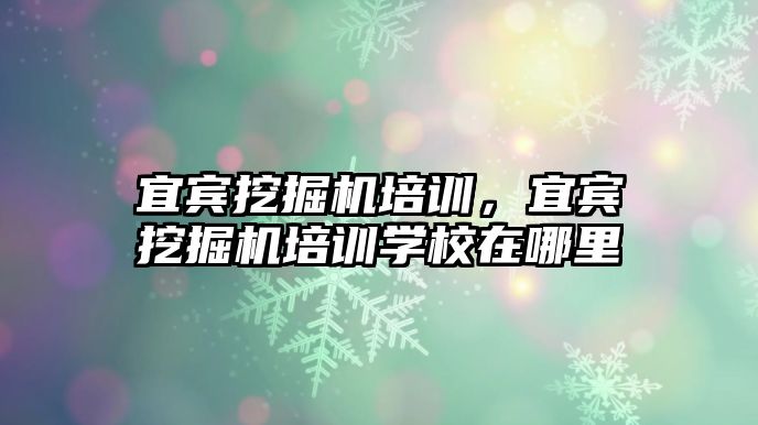 宜賓挖掘機培訓，宜賓挖掘機培訓學校在哪里