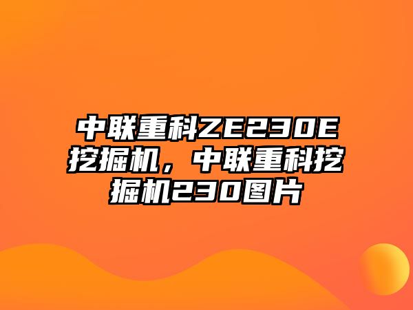 中聯(lián)重科ZE230E挖掘機(jī)，中聯(lián)重科挖掘機(jī)230圖片