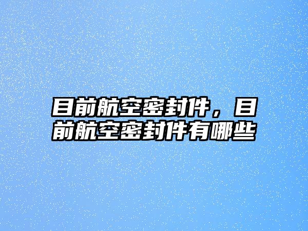 目前航空密封件，目前航空密封件有哪些