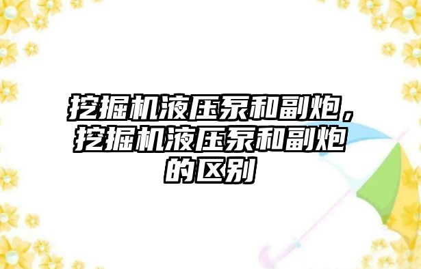 挖掘機液壓泵和副炮，挖掘機液壓泵和副炮的區(qū)別