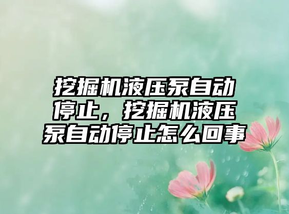 挖掘機液壓泵自動停止，挖掘機液壓泵自動停止怎么回事