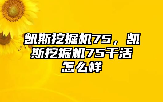 凱斯挖掘機(jī)75，凱斯挖掘機(jī)75干活怎么樣