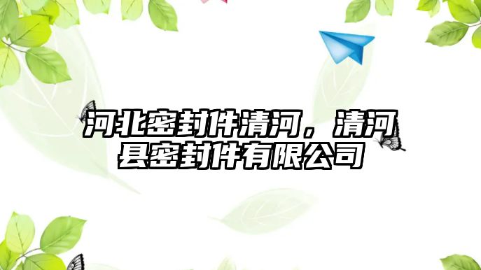 河北密封件清河，清河縣密封件有限公司