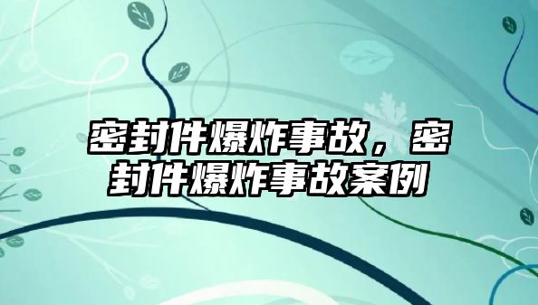 密封件爆炸事故，密封件爆炸事故案例