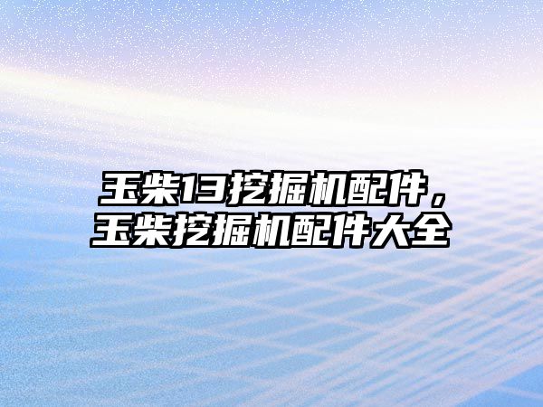 玉柴13挖掘機配件，玉柴挖掘機配件大全