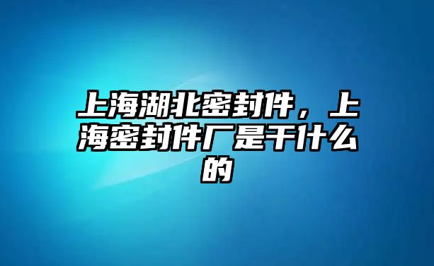 上海湖北密封件，上海密封件廠是干什么的