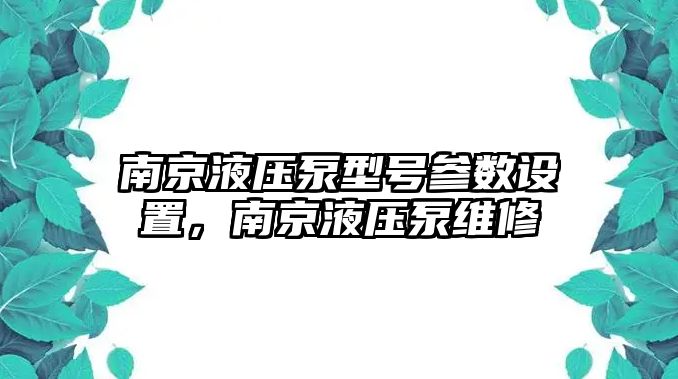 南京液壓泵型號(hào)參數(shù)設(shè)置，南京液壓泵維修