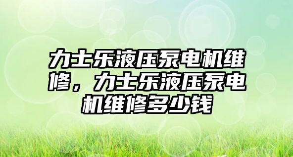 力士樂液壓泵電機維修，力士樂液壓泵電機維修多少錢