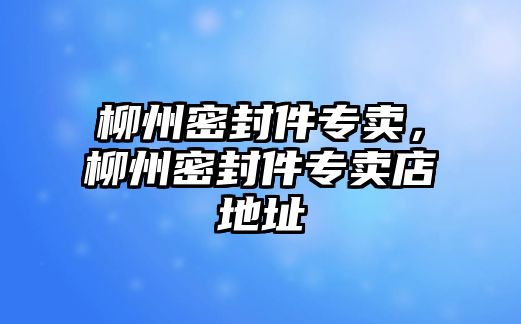 柳州密封件專賣，柳州密封件專賣店地址