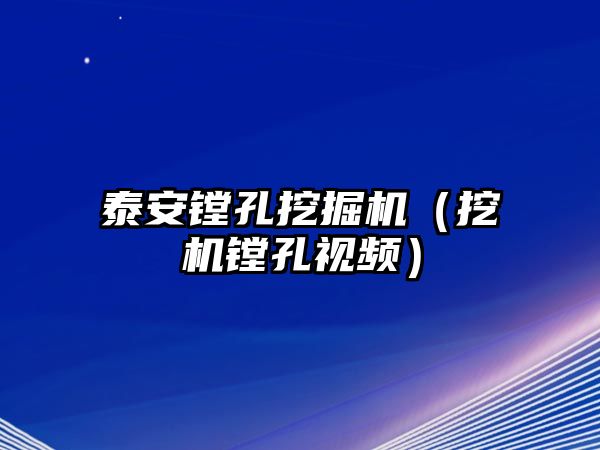 泰安鏜孔挖掘機（挖機鏜孔視頻）