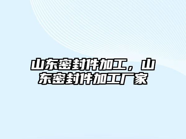 山東密封件加工，山東密封件加工廠家