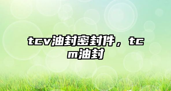 tcv油封密封件，tcm油封