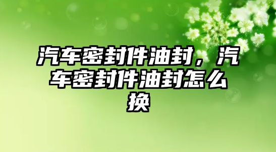 汽車密封件油封，汽車密封件油封怎么換