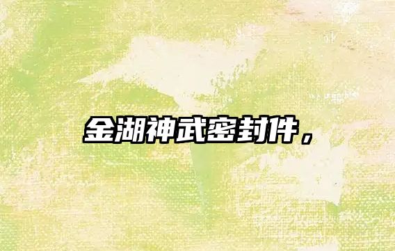 金湖神武密封件，