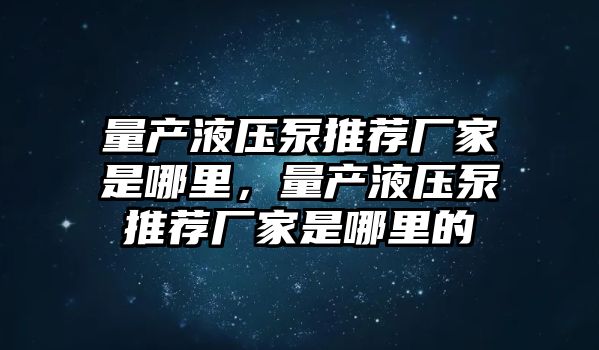 量產(chǎn)液壓泵推薦廠家是哪里，量產(chǎn)液壓泵推薦廠家是哪里的