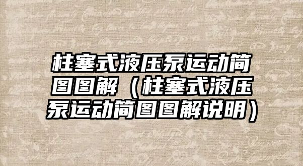 柱塞式液壓泵運動簡圖圖解（柱塞式液壓泵運動簡圖圖解說明）