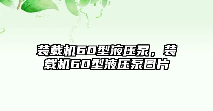 裝載機(jī)60型液壓泵，裝載機(jī)60型液壓泵圖片
