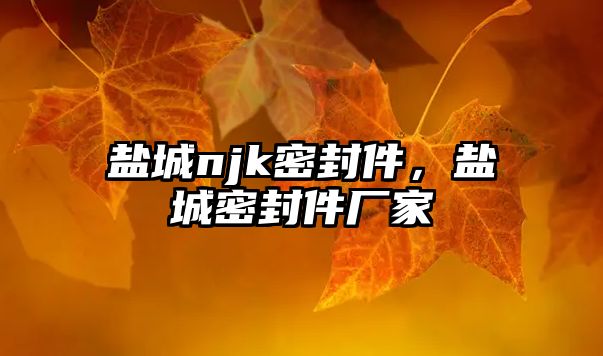 鹽城njk密封件，鹽城密封件廠家