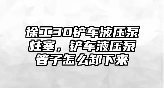 徐工30鏟車液壓泵柱塞，鏟車液壓泵管子怎么卸下來(lái)