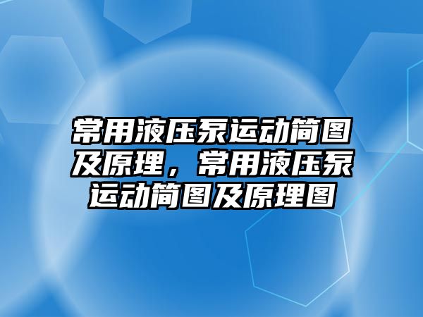 常用液壓泵運動簡圖及原理，常用液壓泵運動簡圖及原理圖