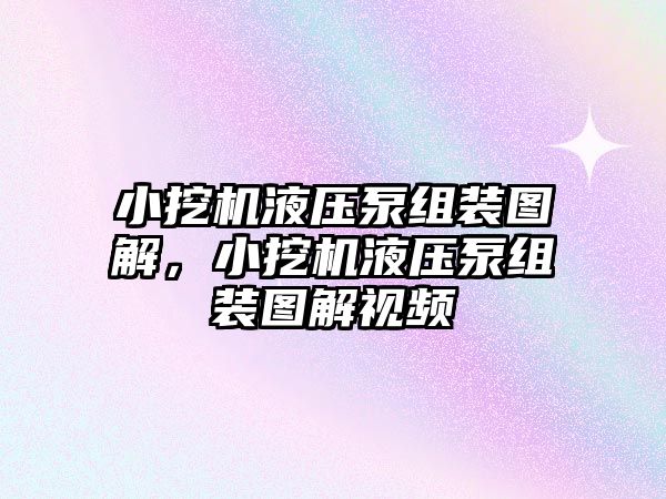 小挖機液壓泵組裝圖解，小挖機液壓泵組裝圖解視頻