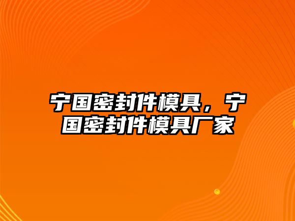 寧國(guó)密封件模具，寧國(guó)密封件模具廠家