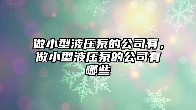 做小型液壓泵的公司有，做小型液壓泵的公司有哪些