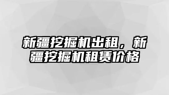 新疆挖掘機出租，新疆挖掘機租賃價格