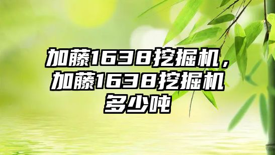 加藤1638挖掘機，加藤1638挖掘機多少噸