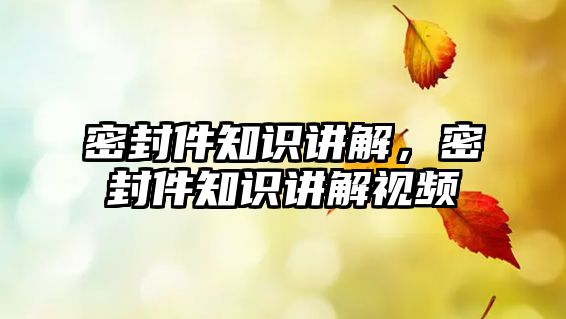 密封件知識講解，密封件知識講解視頻