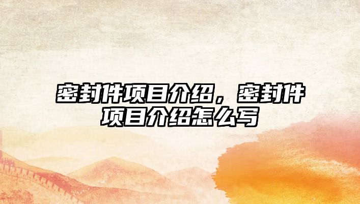 密封件項(xiàng)目介紹，密封件項(xiàng)目介紹怎么寫