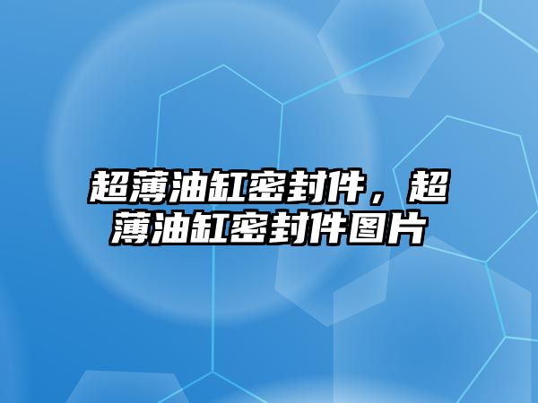 超薄油缸密封件，超薄油缸密封件圖片