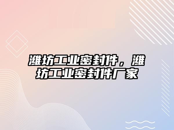 濰坊工業(yè)密封件，濰坊工業(yè)密封件廠家