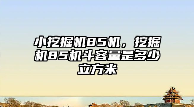 小挖掘機(jī)85機(jī)，挖掘機(jī)85機(jī)斗容量是多少立方米