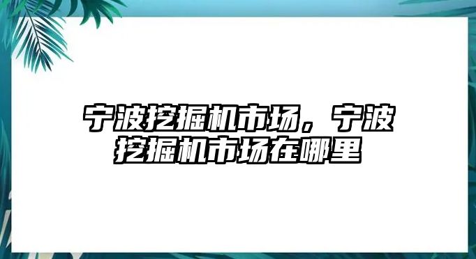 寧波挖掘機(jī)市場(chǎng)，寧波挖掘機(jī)市場(chǎng)在哪里